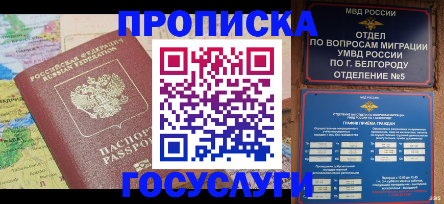 прописка регистрация в Дубне